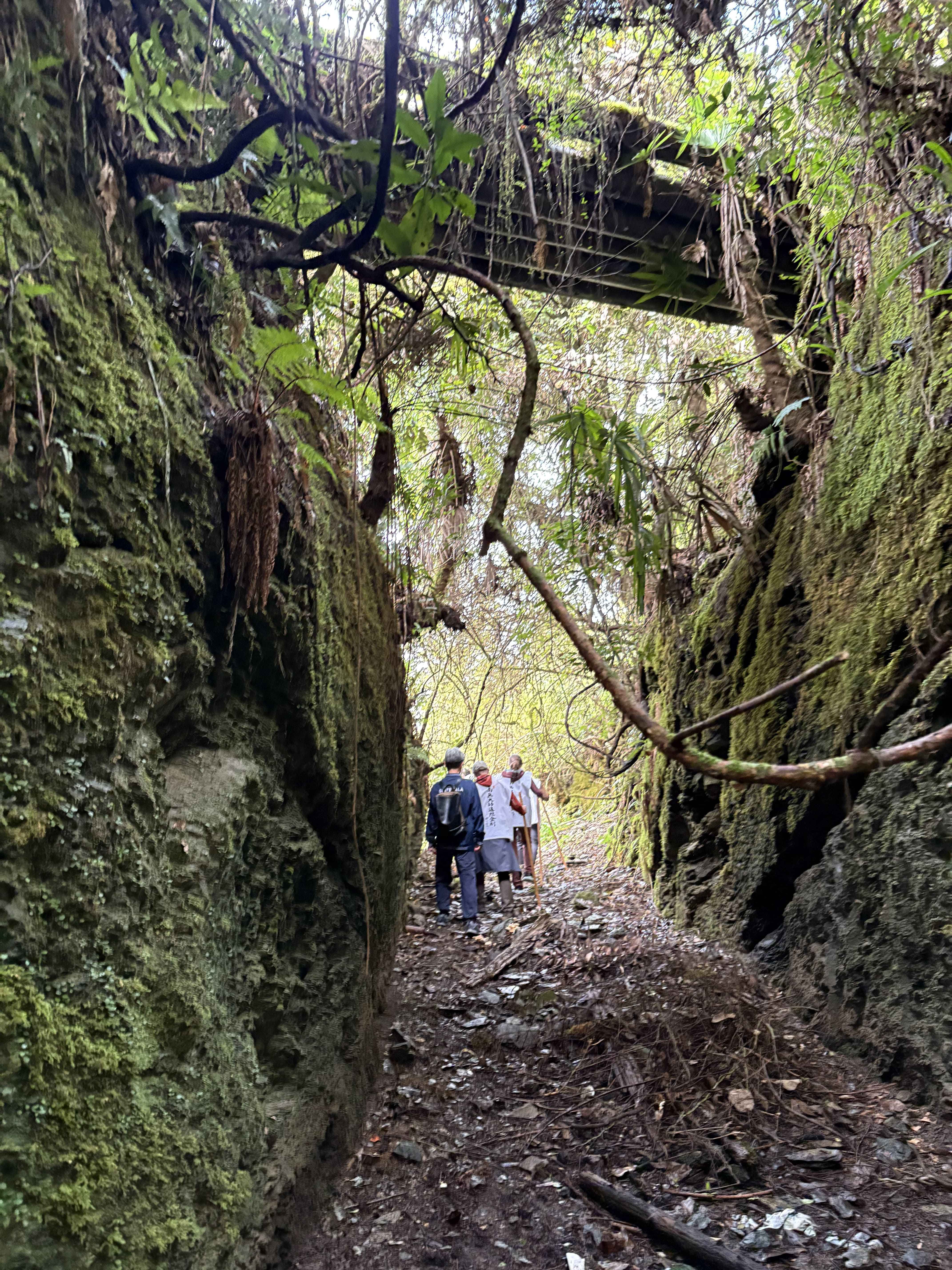 Kukai's prequel (Prequel) Chasing Kukai's "blank decade" - a mystery hunting tour that touches the roots of the sacred place Yoshino and Awakening 7