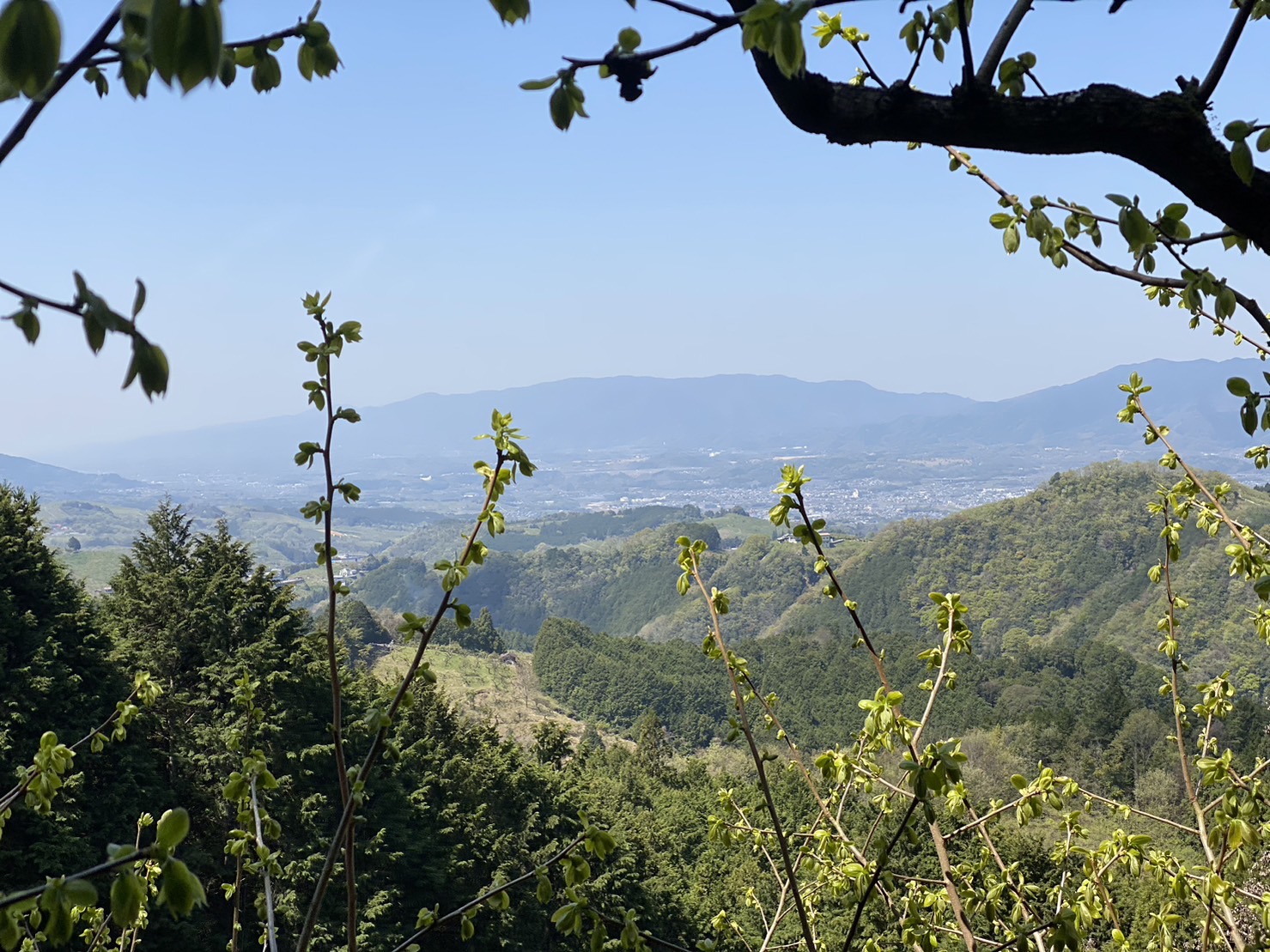 Kukai's prequel (Prequel) Chasing Kukai's "blank decade" - a mystery hunting tour that touches the roots of the sacred place Yoshino and Awakening 14