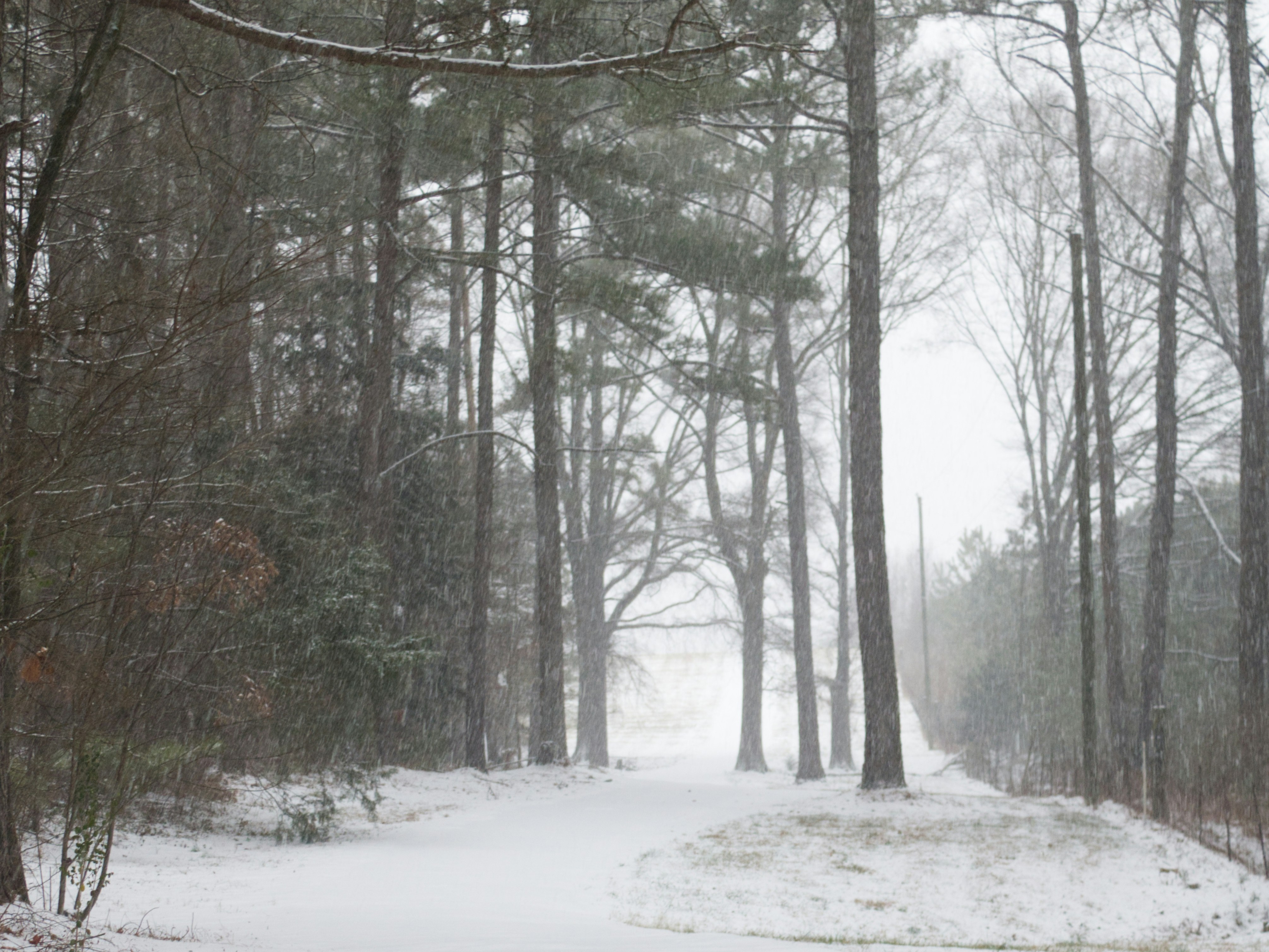 The Soul of Yukiguni: An Exquisite Private Journey to Discover the Essence of the Snow Country 3
