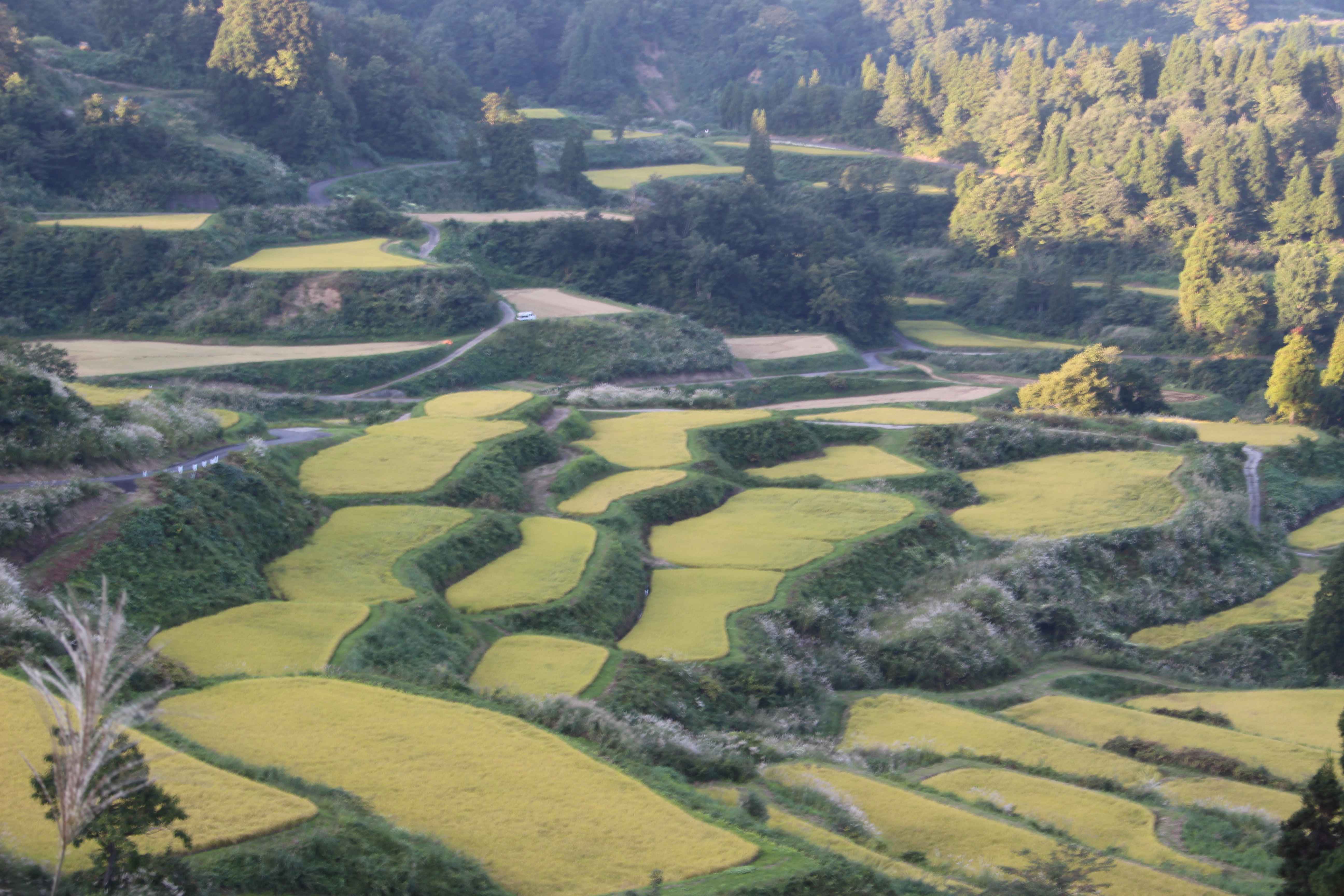 YUKIGUNI Experience program② – Deep Dive into Echigo: Yukimuro, Satoyama & Hands-on Culinary Heritage (Land Only) 8
