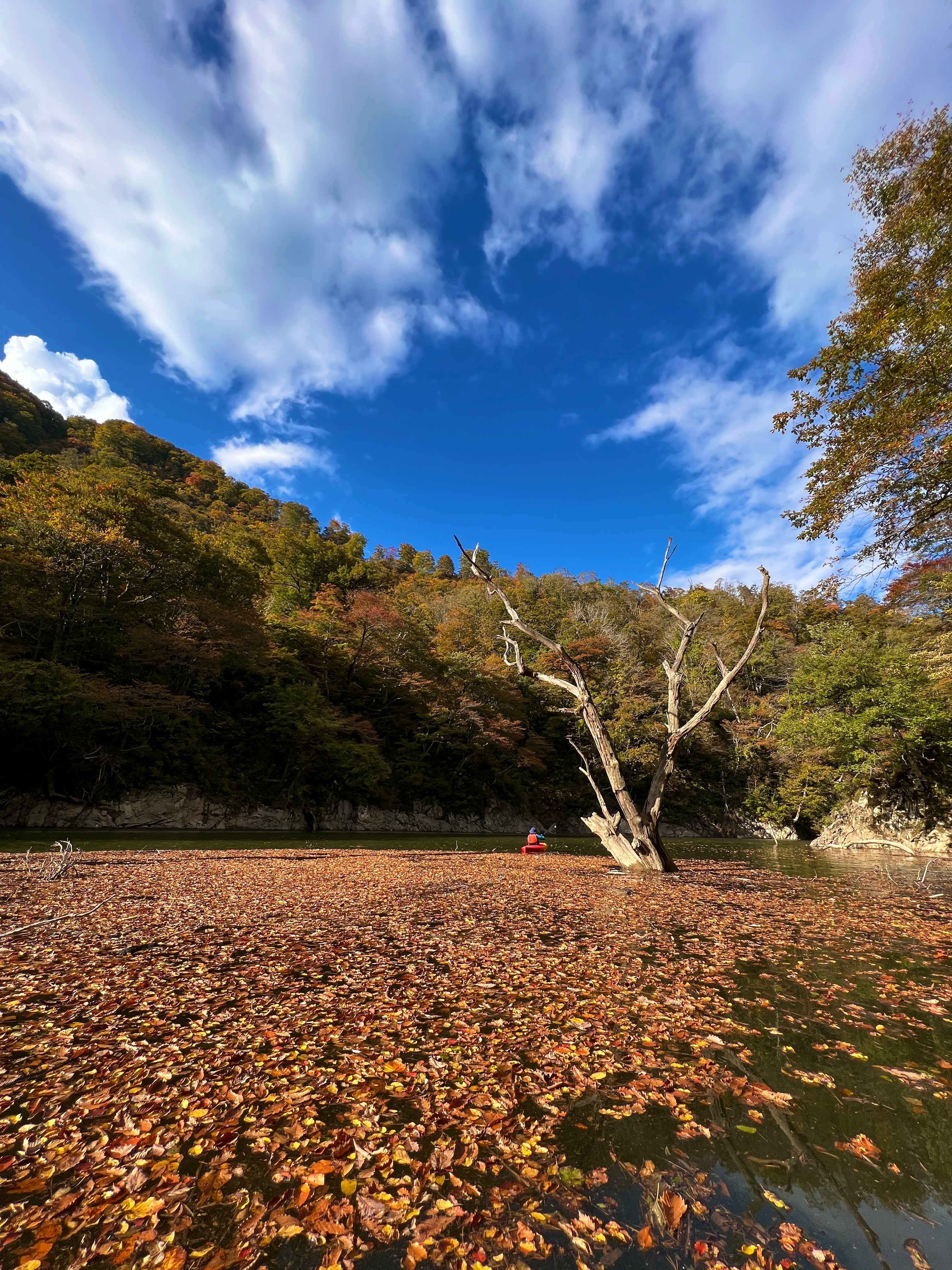 Tohoku · Yamagata — Unbeaten Japan: Paddle and Taste the Arcadia of Asia, 3 Days 12