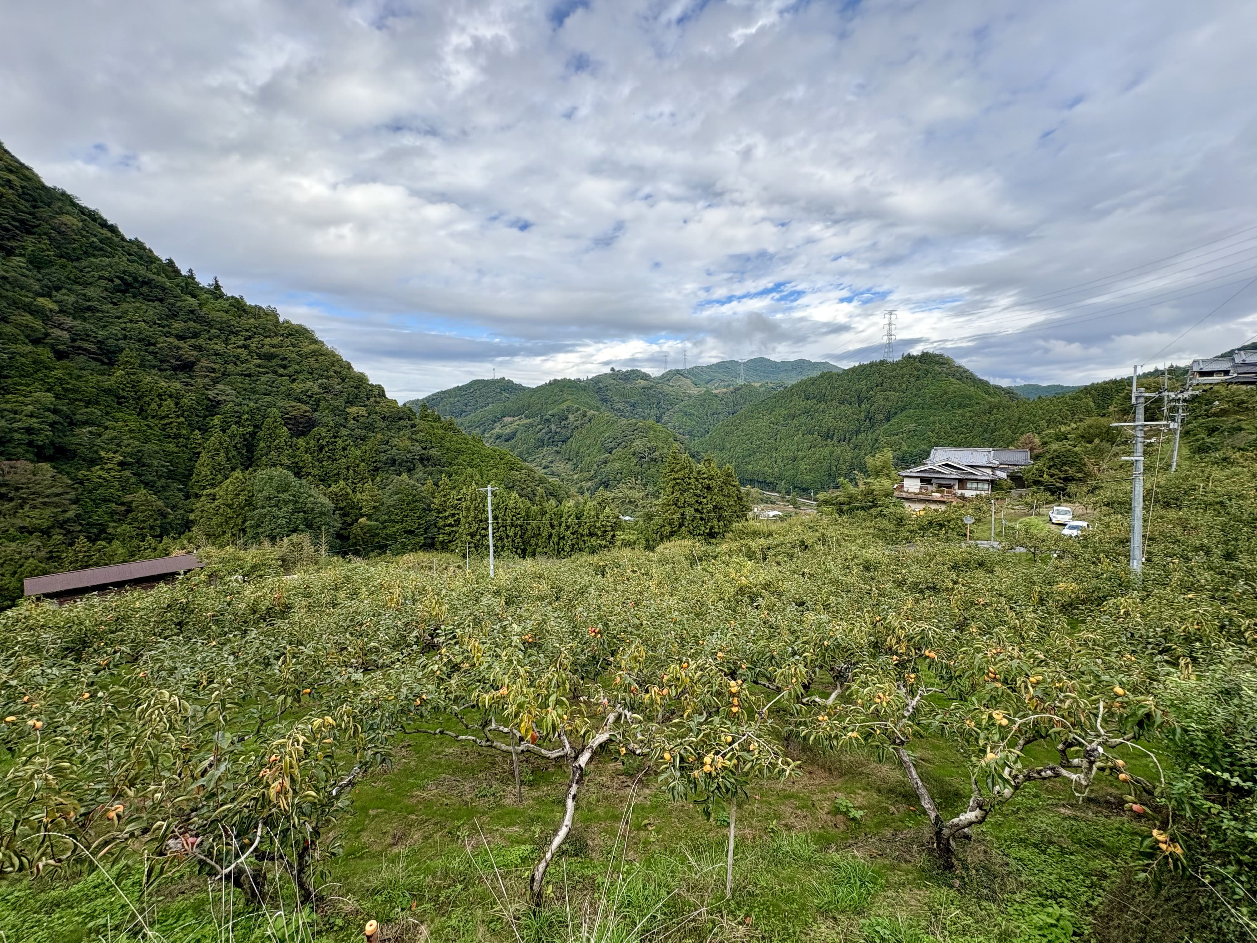 Kukai's prequel (Prequel) Chasing Kukai's "blank decade" - a mystery hunting tour that touches the roots of the sacred place Yoshino and Awakening 20