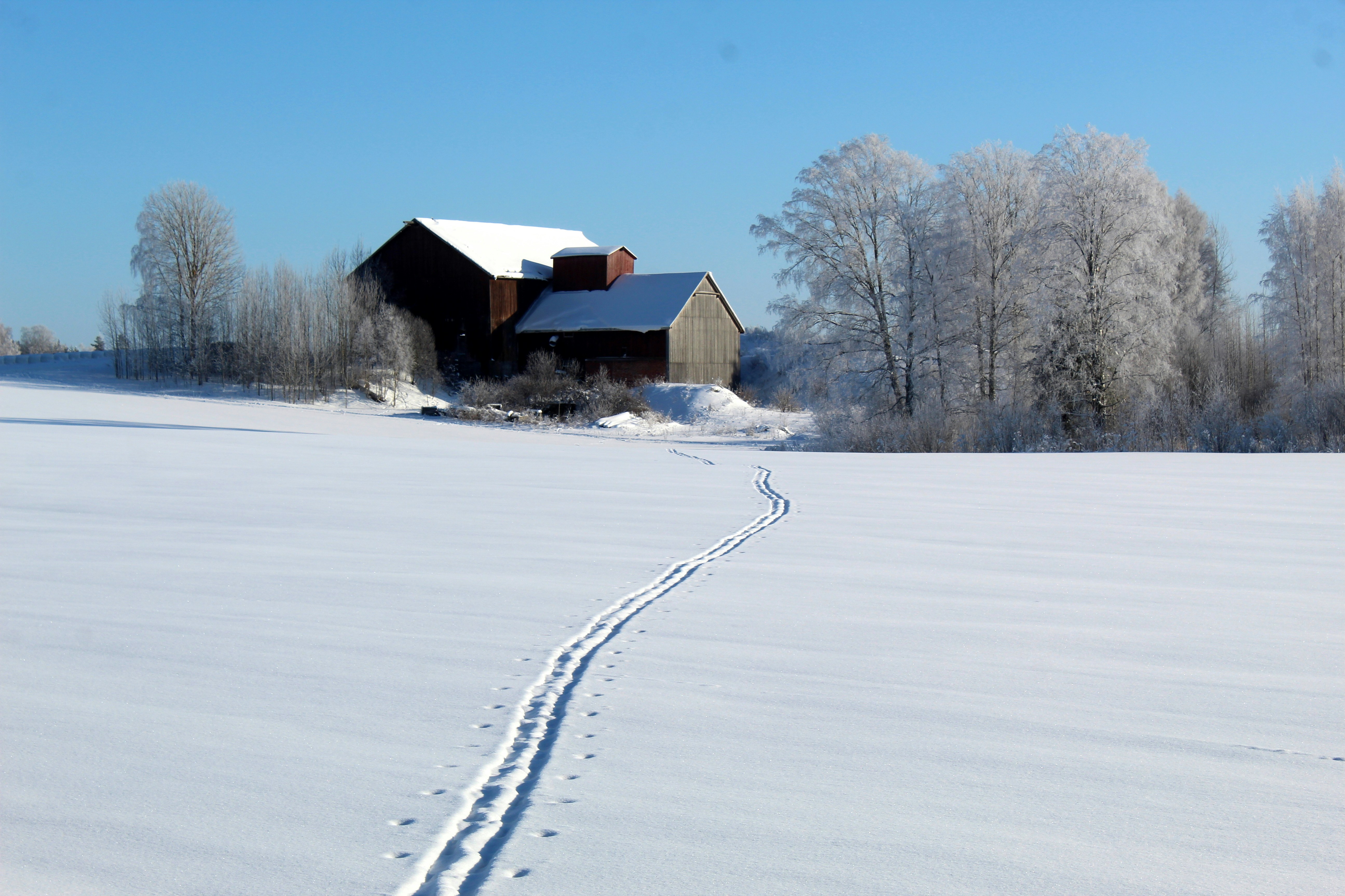 The Soul of Yukiguni: An Exquisite Private Journey to Discover the Essence of the Snow Country 2