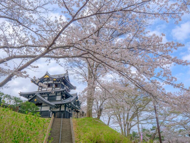 Experience the Cultural Heritage of Niigata, Japan – Part 3 9